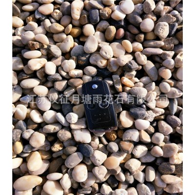 变压器鹅卵石 江苏仪征鹅卵石厂生产 规格整齐 鹅卵石图2