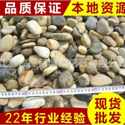 变压器鹅卵石 江苏仪征鹅卵石厂生产 规格整齐 鹅卵石