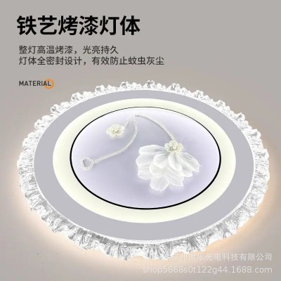 现代简约网红新款玻璃灯led吸顶灯 高亮语音智能房间灯主 卧室灯具图4