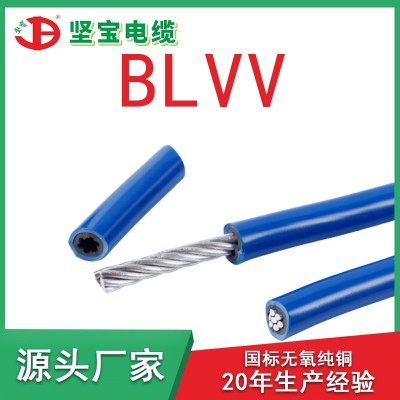 BLVV电线铝线10平方 双塑单股硬芯国标家用工地户外防老化电源线图2