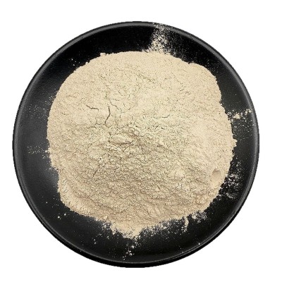 厂家直销蓝晶石粉多规格耐火材料蓝晶石玻璃陶瓷涂料铸造蓝晶石粉图4
