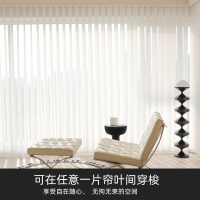 批发电动梦幻帘办公室垂直竖百叶窗帘手动客厅阳台梦幻哈纳斯帘图2