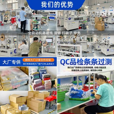 供应1.25端子线单头2p红黑ZH1.5 PH2.0 XH2.54线束加工电池 连接线图4
