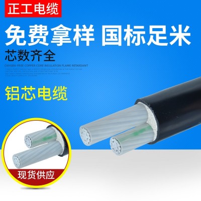 定制低压铝芯电力电缆YJLV62-0.6/1kV1/2芯3芯4芯5芯阻燃低烟无卤