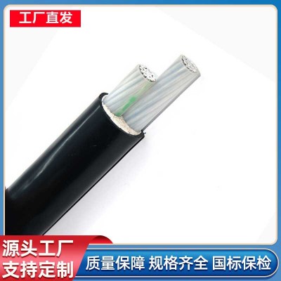 定制低压铝芯电力电缆YJLV62-0.6/1kV1/2芯3芯4芯5芯阻燃低烟无卤图3