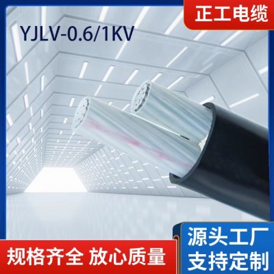 定制低压铝芯电力电缆YJLV62-0.6/1kV1/2芯3芯4芯5芯阻燃低烟无卤图2