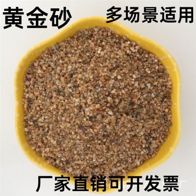 黄金沙细沙建筑外墙可用多肉铺面石黄金沙黄金沙漏金黄沙滩图2