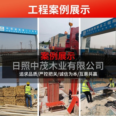 厂家批发建筑木方木板工程工地用白松木辐射松樟子松实木 木方条图3