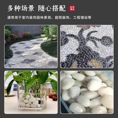 白色鹅卵石工程铺路园林造景盆栽鱼缸水培装饰阳台造景雨花石包邮图4