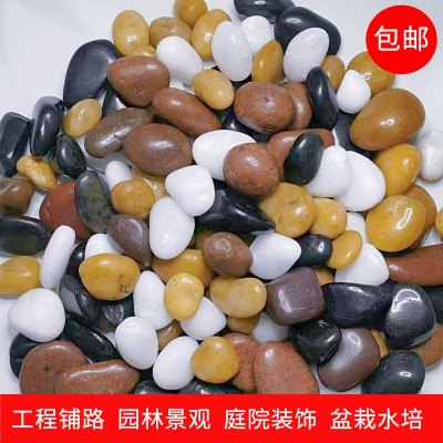 精抛鹅卵石工程铺路庭院铺地园林造景鱼缸花盆水培装饰原石雨花石