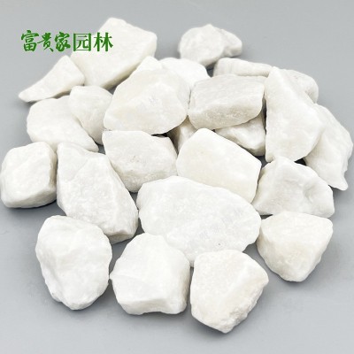白色水磨石 佛山不发火地面白云石砂枯山水庭院散置白色石子批发图4