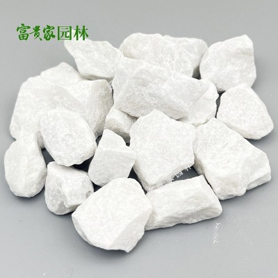 白色水磨石 佛山不发火地面白云石砂枯山水庭院散置白色石子批发图3