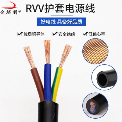 国标RVV护套线2芯3芯1 2.5 4 6平方电源控制线无氧铜 芯电线软电缆图2