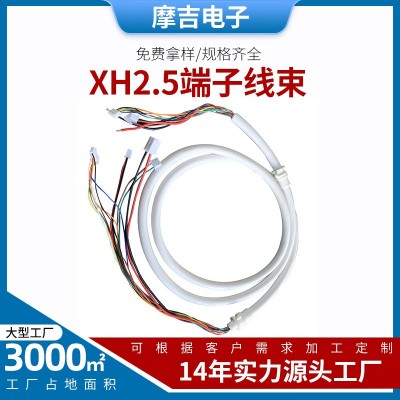 新能源汽车线束VH3.96复合线束医疗助力车连接器电子线束现货批发
