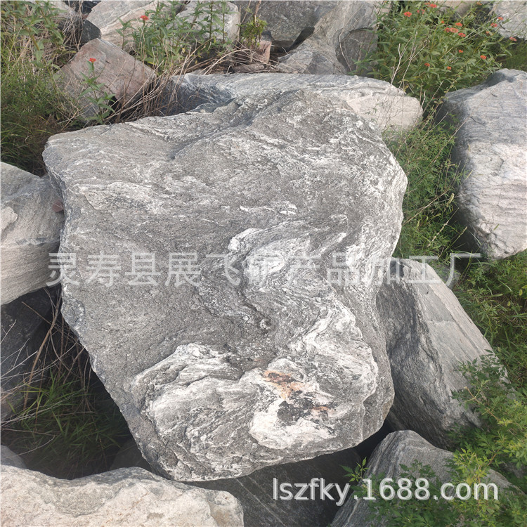 IMG20200810160903