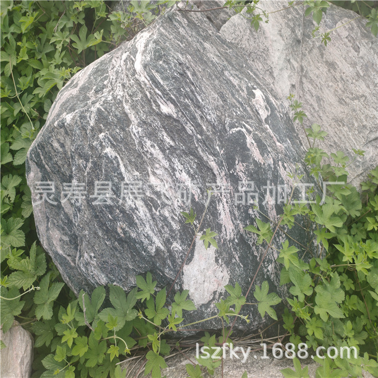 IMG20200810162634