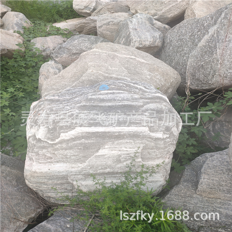 IMG20200810162558