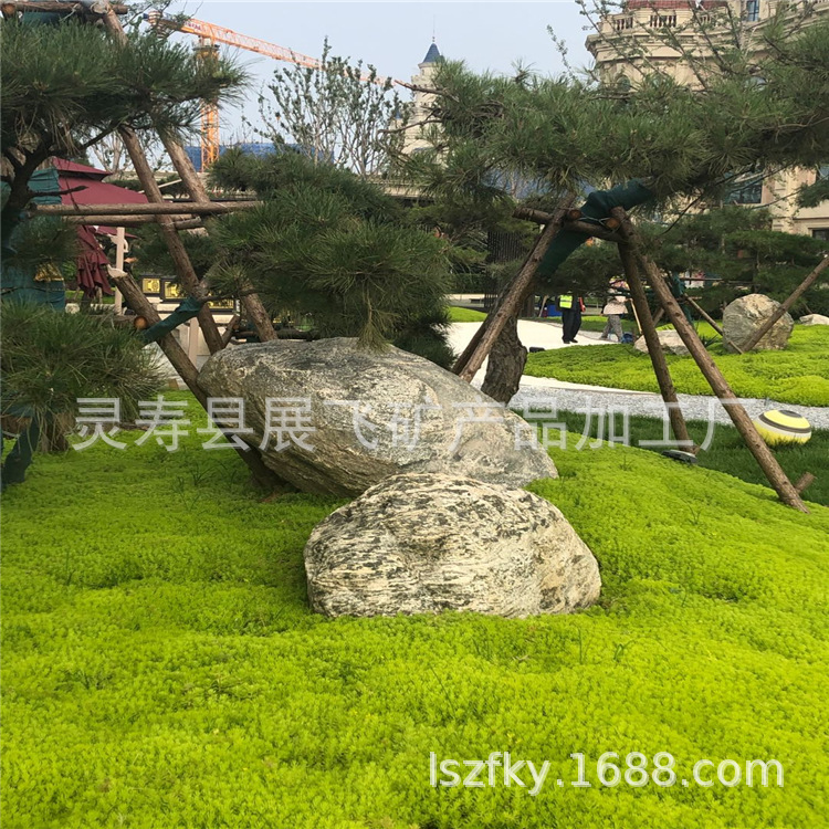 IMG20200810161351