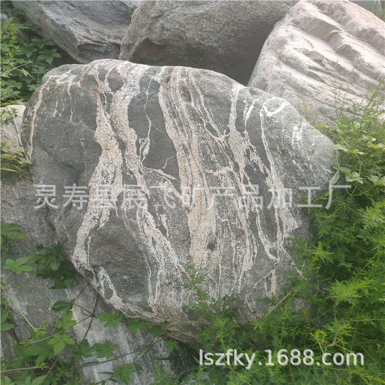 IMG20200810162838