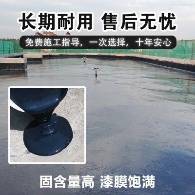 防水涂料屋顶专用防水补漏顶楼堵漏王大面积水性聚氨酯防水材料图4