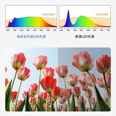 钻石星星点点罩LED卧室灯2025年新款儿童房灯透光度高吸顶灯图3