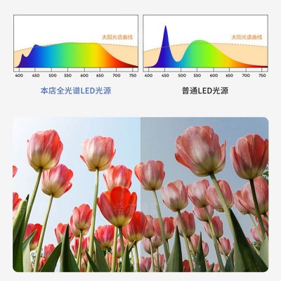 供应书房吸顶灯现代简约卧室吸顶灯新款客厅吸顶灯防蓝光超亮图3