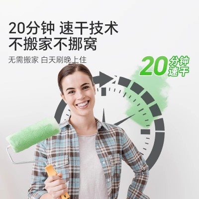 内墙乳胶漆墙面翻新净味内墙涂料室内家用白色内墙涂料丙烯酸批发图3
