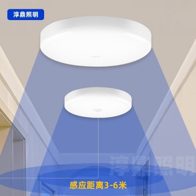 感应LED雷达感应吸顶灯走廊楼梯智能吸顶灯人体声控感应吸顶灯图4