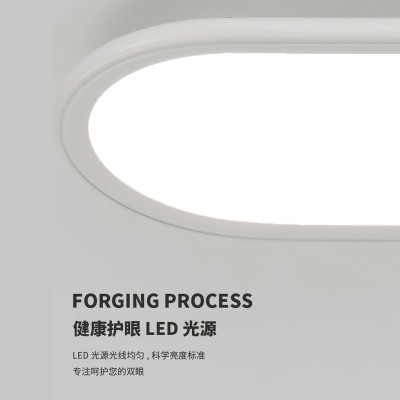 超薄吸顶灯长条走廊过道灯入户阳台灯简约衣帽间卧室极简玄 关灯具图3