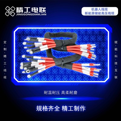 储能动力线束加工10芯 移动新能源汽车储能线束机柜内串联线束组