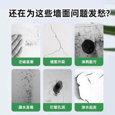 外墙水漆防水防晒耐候外墙涂料室外翻新耐紫外线乳胶漆调色墙面漆图4
