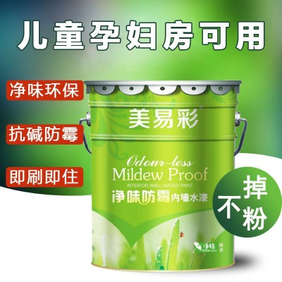 乳胶漆内墙 清新超白净味防水防霉水性内墙涂料 室内白色墙面漆图2