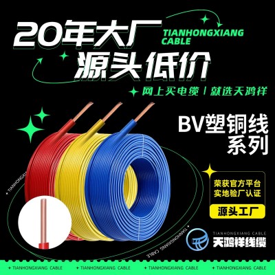 天鸿祥ZR-BV阻燃家装多股塑铜线加工 定制4平方安全家用电线电缆
