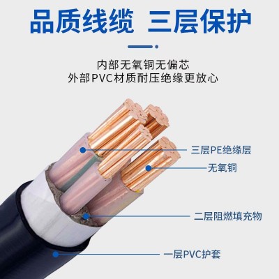 工厂设备铜芯电缆线 紫铜线电力工程 低压橡皮套管电缆YJV22 3*10图2