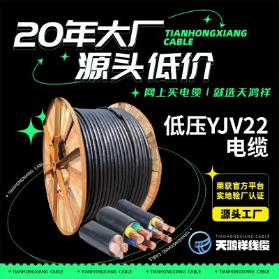 工厂设备铜芯电缆线 紫铜线电力工程 低压橡皮套管电缆YJV22 3*10