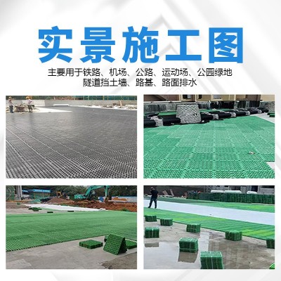 蓄排水板屋顶绿化排水板滤水板市政园林绿化工程全排水板规格齐全图2