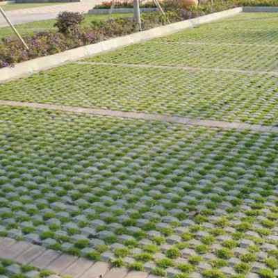定做透水砖砖园林绿化市政彩色停车场生态嵌草砖混凝土停车场植草图5