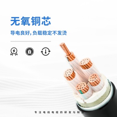 ZCYJV22铜芯钢带电力电缆单多芯阻燃国标铜芯电力电线电缆yjv22图3