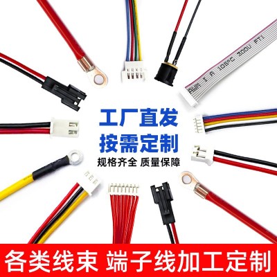 加工定制端子线1.25/ZH1.5/PH2.0/XH2.54mm线束排线2P硅胶电子线