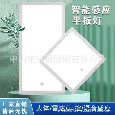 感应平板灯节能智能听话的灯声光控雷达人体离线语音办公物业过道