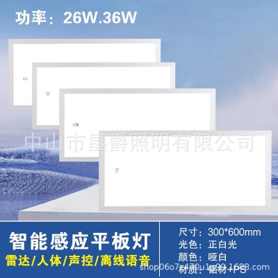 感应平板灯节能智能听话的灯声光控雷达人体离线语音办公物业过道图2