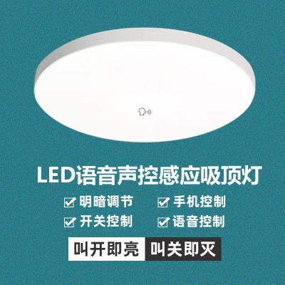 雷达人体感应吸顶灯人走灯灭过道走廊三防灯声光控面板灯源 头工厂图3