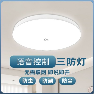 雷达人体感应吸顶灯人走灯灭过道走廊三防灯声光控面板灯源 头工厂