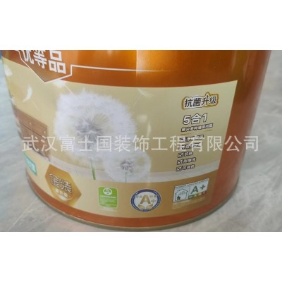 立邦金装五合一乳胶漆 净味五合一 内墙乳胶漆 立邦净味 优等品图4