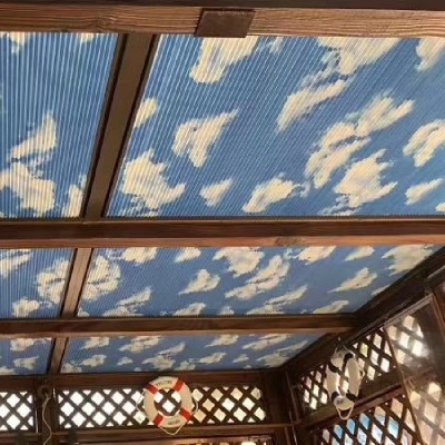 厂家供应蓝天白云蜂巢帘面料隔热保温窗帘面料图2