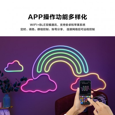跨境LED柔性霓虹灯套装红外幻彩WiFi蓝牙广告装饰霓虹灯现货批发图4