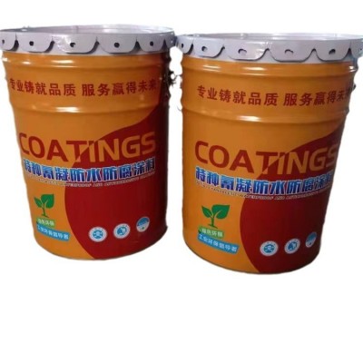 特种氰凝防水防腐涂料 污水池耐酸防腐漆 PA106涂料图5