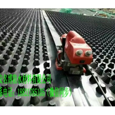 【排水板】最新批发价格 排水板采购商机图3