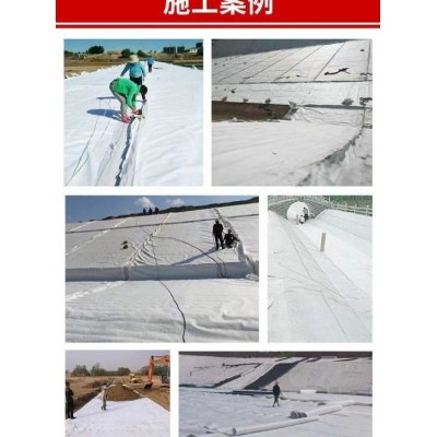 名博果园定制防渗复合土工膜水产鱼塘养殖水库堤坝工程两布一膜图4