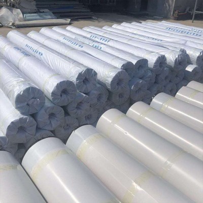 批发聚氯乙烯pvc防水卷材 屋面楼顶1.2mm高分子自粘pvc防水卷料图3